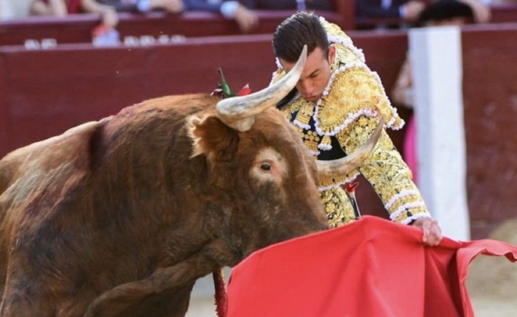 Feria de San Isidro: El toro exigente de Pedraza de Yeltes.
