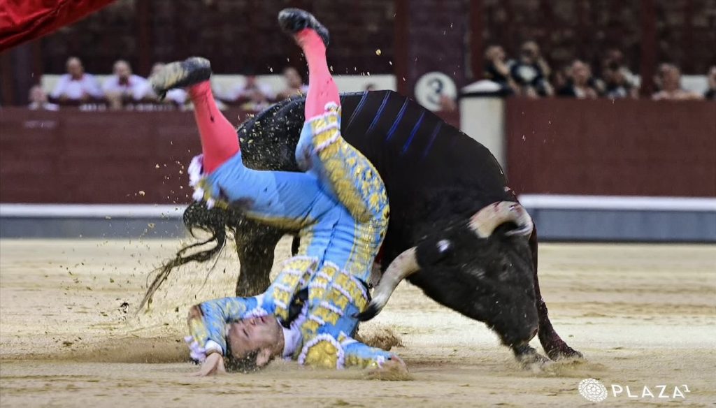 Del hule a rozar la Puerta Grande: Cristian Pérez se entrega en Madrid.