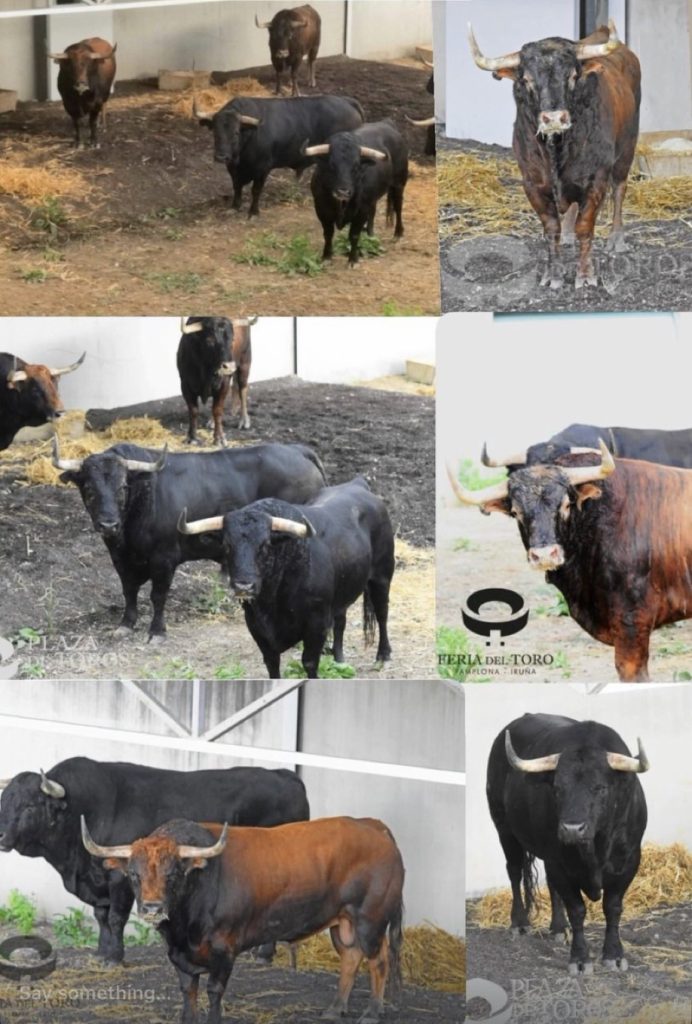 Los toros de Victoriano del Río volvieron a estrenar los corrales del Gas.