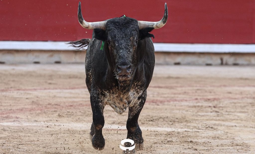 Feria del Toro: ‘Merecido’ mereció mucho más.