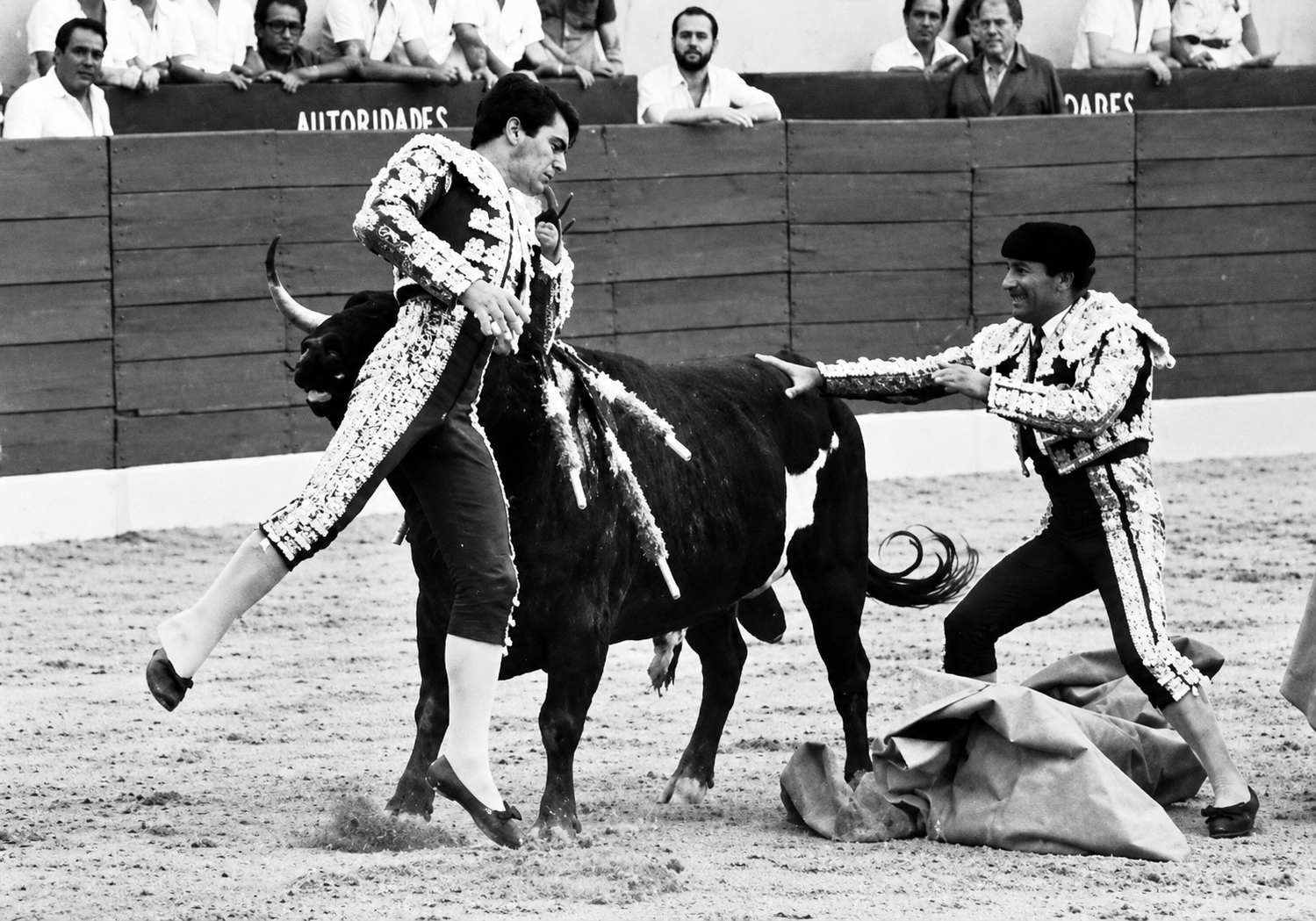 “Pali, este toro me ha matado”, fueron las últimas palabras de José Cubero “Yiyo” hace 41 años antes de morir.