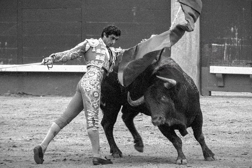 Tomás Campuzano: “Si no hubiera sido por el toreo, ahora estaría cuidando ovejas”