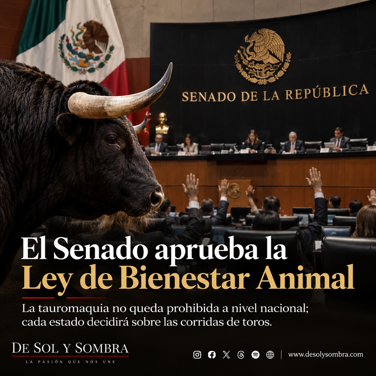 El Senado aprueba la Ley de Bienestar Animal: los estados tendrán la última palabra sobre la tauromaquia.