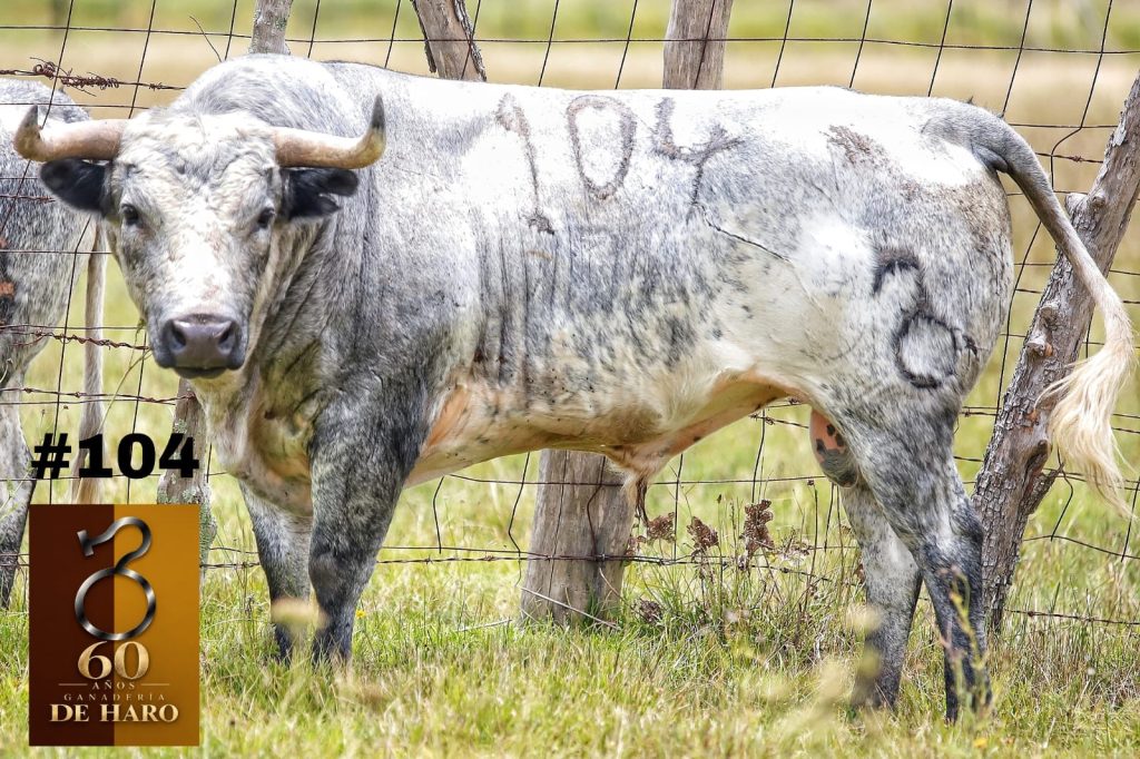 De Haro presenta los toros para la corrida de su 60 aniversario en Apizaco.