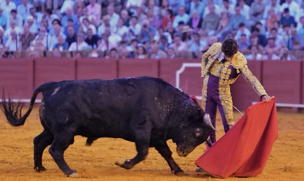 Novillada de lujo, novillada de vergüenza (en Sevilla).