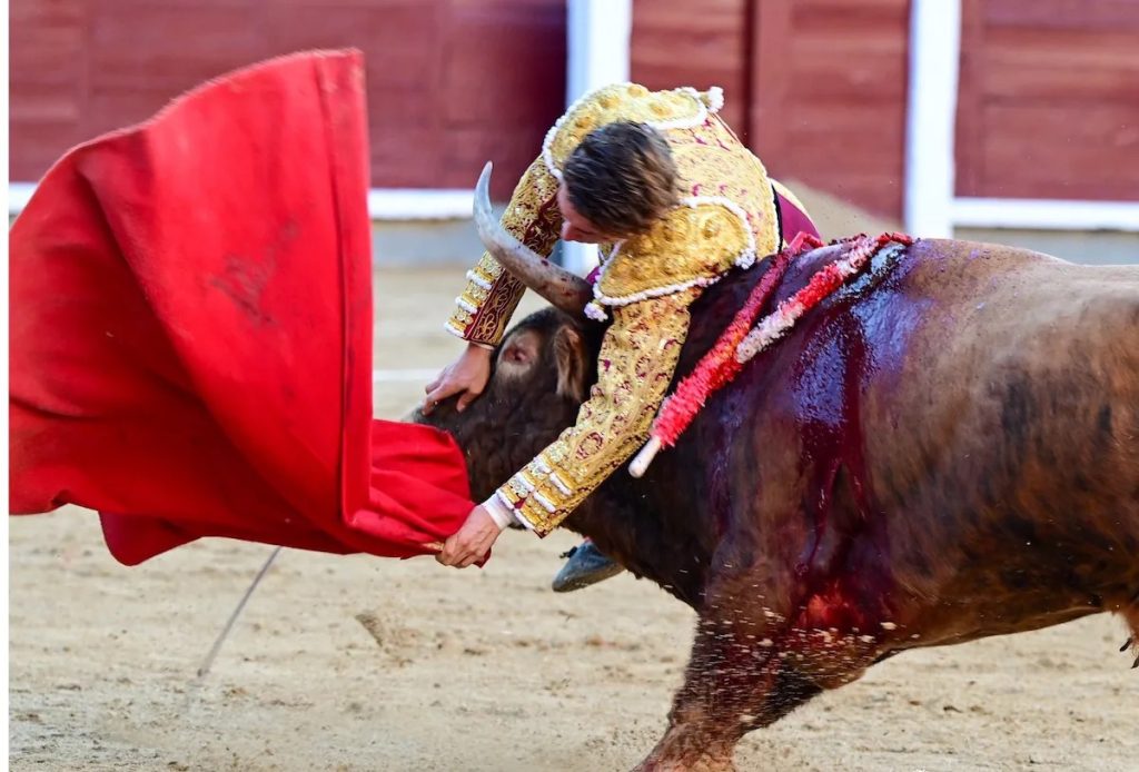 Álvaro Serrano, herido grave en su arriesgada y deslucida encerrona.
